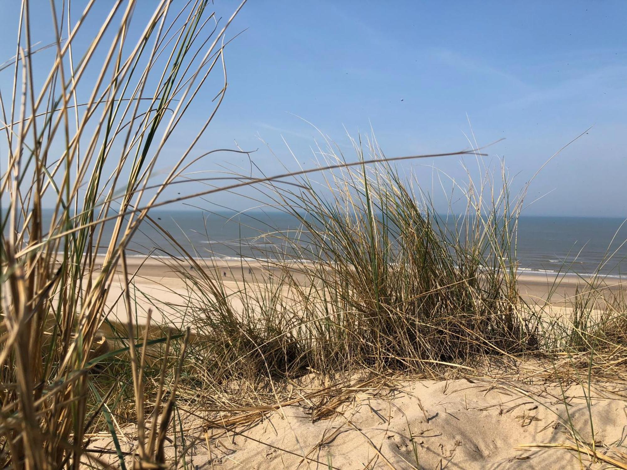 Eco Lodge Duin- Unieke Locatie -Strand, Duin En Nabij Cultuursteden Castricum Exterior photo